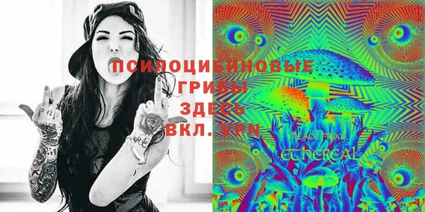 прущие крисы Надым