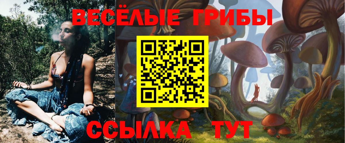 купить наркотики сайты  Галлюциногенные грибы Magic Shrooms  Вход с VPN  Екатеринбург 