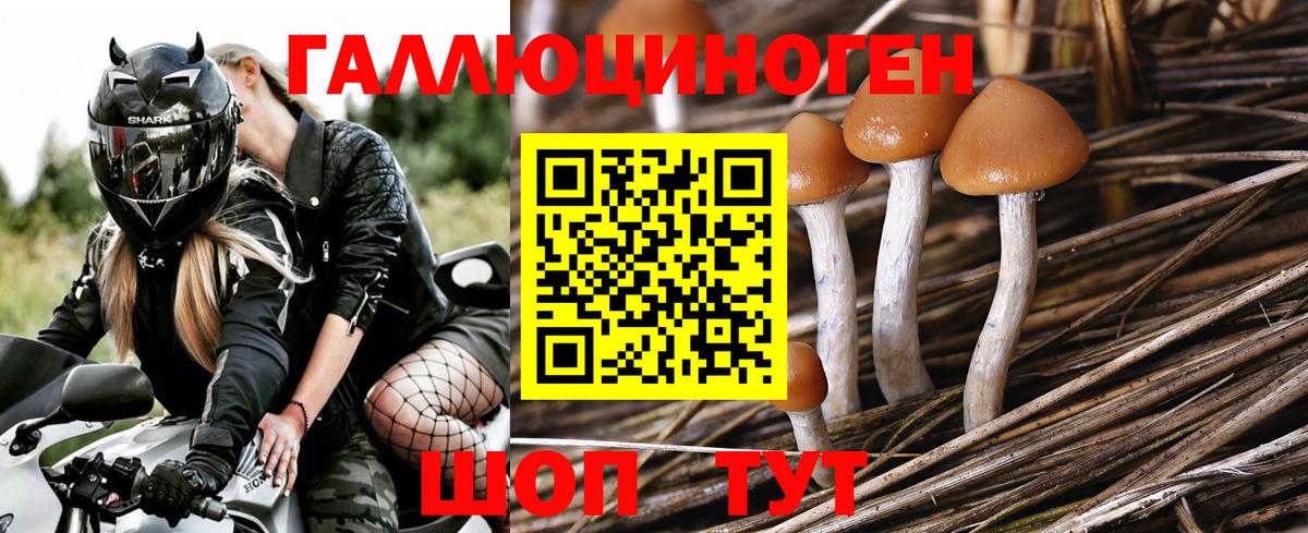 Галлюциногенные грибы мицелий Екатеринбург
